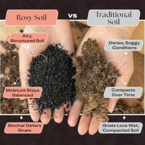 Rosy Soil Cactus & Succulent Potting Mix, 4 Quarts, Pack of 3 - Image 3