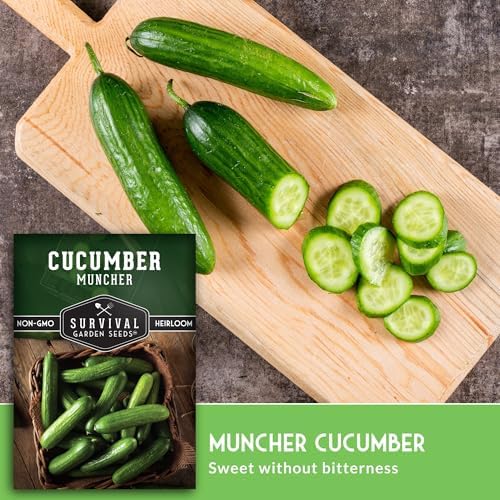 Muncher Cucumber Seeds for Planting - Low-Acid Slicing Cucumbers (1 Pack) - Image 4