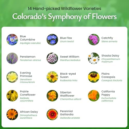 Colorado Wildflower Seed Mix – Over 53,000 Flower Seeds, Covers 300 Sq Ft - Image 3