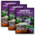 Comfrey Seeds - Symphytum Officinale - Perennial Medicinal Herb (3 Packs) by SurvivalGardenSeeds