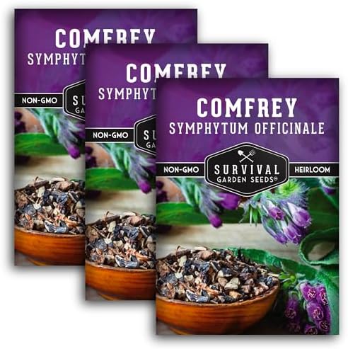 Comfrey Seeds - Symphytum Officinale - Perennial Medicinal Herb (3 Packs) by SurvivalGardenSeeds