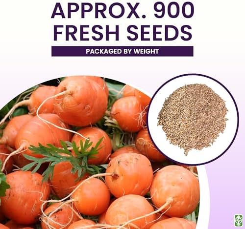 Round Baby Parisian Carrots Seeds, 900 Seeds - Image 3