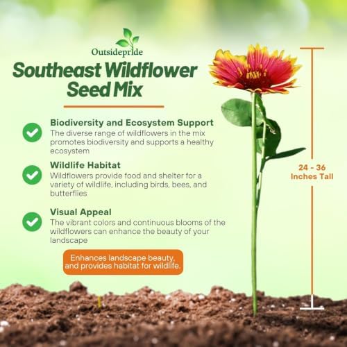Outsidepride Southeast Wildflower Seed Mix - 1 lb Highly Adaptable, Easy to Grow, Low-Maintenance Mix of Annual & Perennial Wildflower Seeds for Natural Landscapes in Southeastern States - Image 4