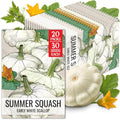 Seed Needs White Scallop Summer Squash Seeds to Plant Vegetables - 20 Packs by SeedNeeds
