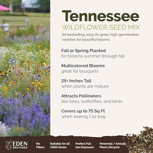 Eden Brothers Tennessee Wildflower Mixed Seeds for Planting, 1 oz - Image 2
