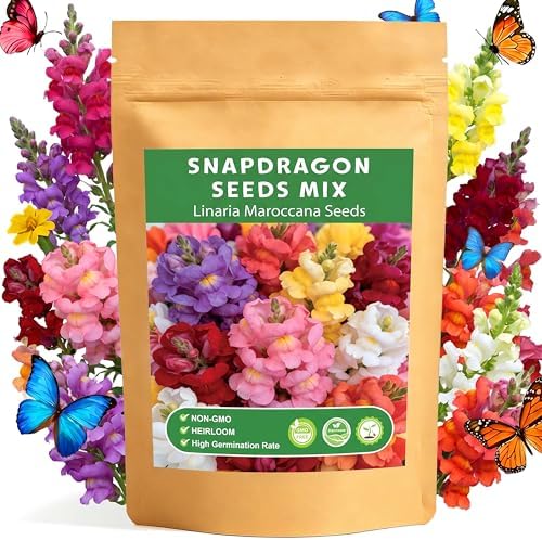 LUOJIBIE Snapdragon Seeds, 50,000+ Tetra Mix Snapdragon Seeds for Planting (Antirrhinum Majus) Fairy Bouquet Blend, Non-GMO Heirloom Annual Flower Garden Seeds Bulk for Outdoor & Indoor by LUOJIBIE