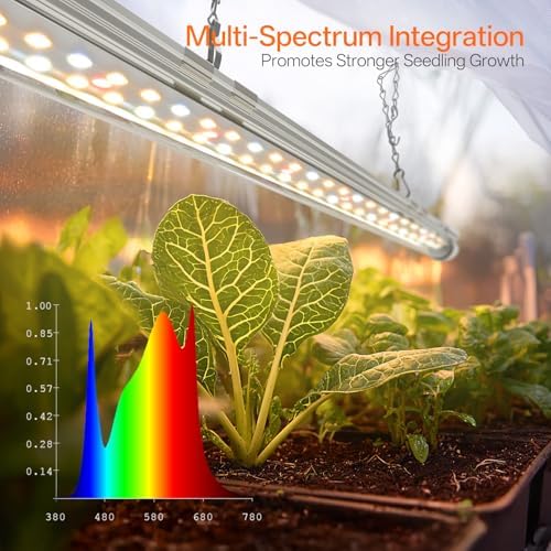 Bstrip Mini Indoor Greenhouse with Grow Light, Tabletop Seed Starting Tent - Image 5