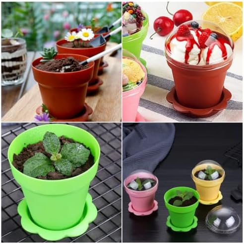 Cupcake Plant Nursery Pots with Humidity Dome, 25 Pack Dessert Cups - Image 4