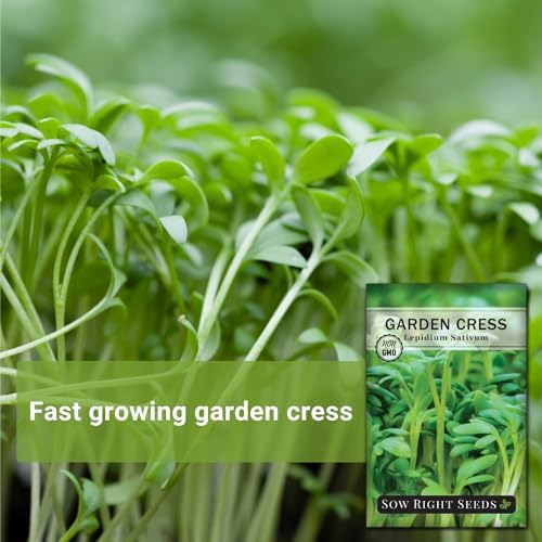 Sow Right Seeds - Garden Cress Seed for Planting Kitchen Herb Garden - Image 3