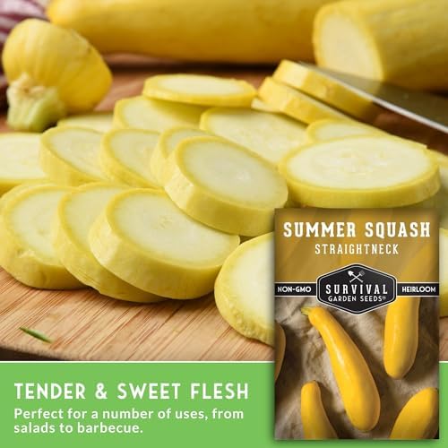 Yellow Straightneck Squash Seeds for Planting (5 Packs) - Image 3
