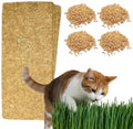 Cat Grass Refills for Self Watering Cat Grass Kit - 4 Mats and 4 Cat Grass Seed Packets (Refill Kit) by ZESTIGREENS