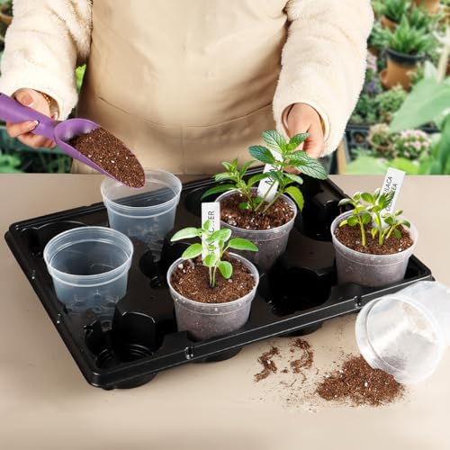 4 Inch Clear Nursery Pots for Plants, Plastic Plant Pot with Drainage Holes, Sturdy Seed Starter Pots, Small Transparent Seedling Pots with Plant Labels and Soil Screens, Gardening Gifts(30 Pack) - Image 5