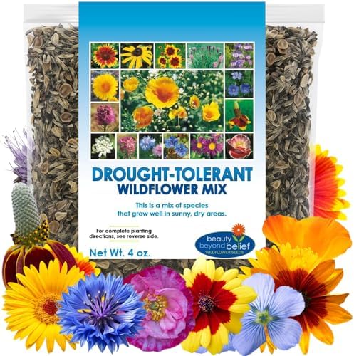 BBB Seed Drought Tolerant Wildflower Seeds Mix, Annual & Perennial, 4 oz by BBBSEED