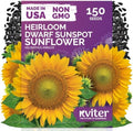 150 Dwarf Sunspot Sunflower Heirloom Flower Seeds, Helianthus Annuus by KVITER