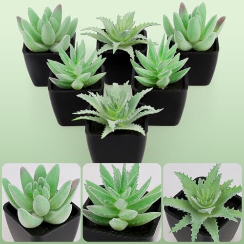Woration 6pcs Small Faux Artificial Flocking Succulent Plants in Black Pots Fake Plastic Plants Topiaries for Shelf Table Windowsills Office Home Green Decoration - Image 4
