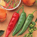 Garden Salsa F1 Hybrid Hot Pepper Seeds - for Making Salsa and Picante Sauce. (10 - Seeds) by Unknown