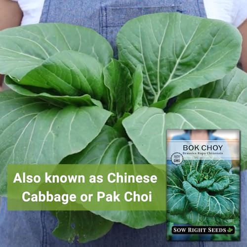 Sow Right Seeds - Bok Choy Seed for Planting Pak Choi Chinese Cabbage 2pk - Image 3