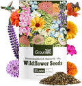 Groundio 25,000+ Wildflower Seeds Mix 1 Oz, 24 Varieties Perennial & Annual Seeds for Hummingbirds and Butterflies, High Germination Flower Seeds Throw and Grow to Plant Outside, No Filler by Groundio