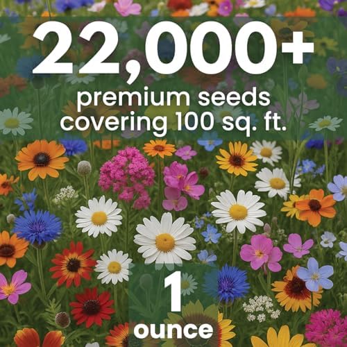 Drought Tolerant Mix – 22,000 Seeds for Planting – 2026 Season – 1 Ounce Pouch - Image 2
