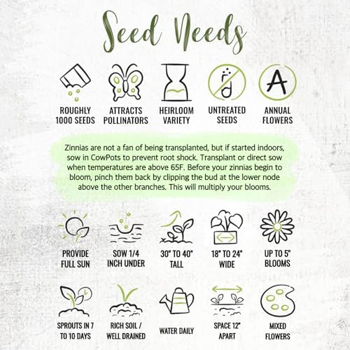 Seed Needs Zinnia Seeds Original Crazy Blend 5,000 Seeds Heirloom Bulk Pack - Image 7