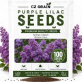 Purple Lilac Seeds for Planting | 100 Seeds | Fragrant Flowering Shrub by CZGrain
