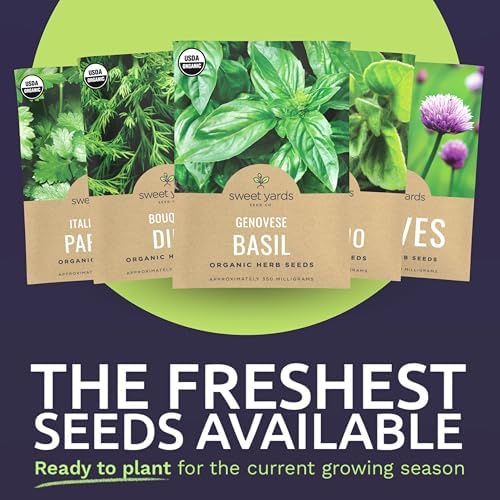 Organic Herb Seeds Variety Pack - 10 Individual Packs - 2026 Season - Basil, Cilantro, Dill, Thyme, Parsley and More! for Indoor & Outdoor Planting (Non-GMO, Certified Organic) (Pack of 2) - Image 3