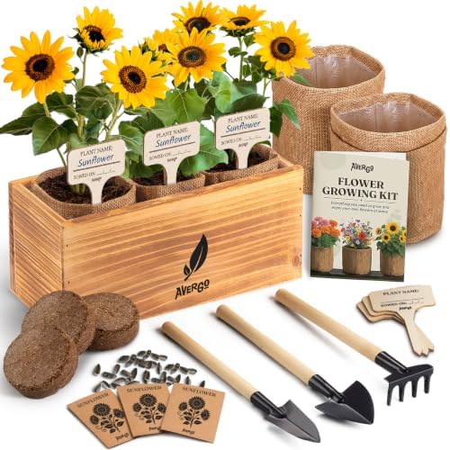 Sunflower Seeds Growing Kit by Plantingseedsgrowingdreams