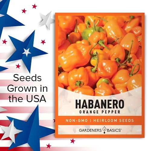 Gardeners Basics, Orange Habanero Pepper Seeds for Planting Heirloom Non-GMO Hot Habanero Peppers Plant Seeds for Home Garden Vegetables Makes a Great Gift for Gardeners - Image 2