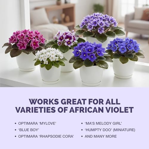 African Violet Fertilizer, Liquid Plant Food for More Blooms, 1 Gallon - Image 6