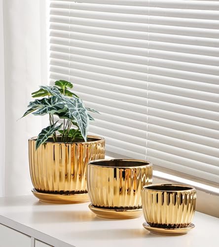Plant Pots,Ceramic Flower Pots with Drainage Holes & Saucers Set of 3（Gold） - Image 6