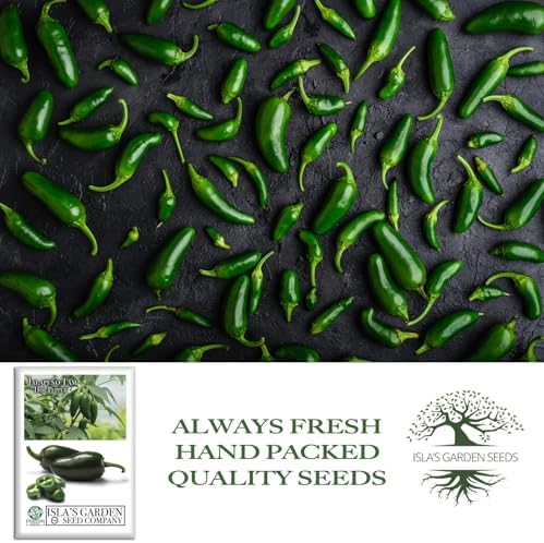 Jalapeño Tam Pepper Seeds (Capsicum annuum) – 50+ Non GMO & Heirloom Seeds by Isla’s Garden Seeds, Mild-Heat Jalapeños for Salsas, Stuffing & Fresh Cooking, Ideal Kitchen Garden Gift Idea - Image 4