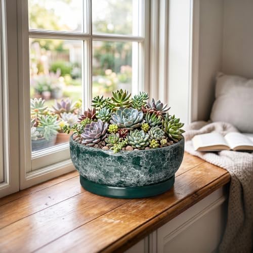 8 Inch Ceramic Bonsai Tree Pots with Saucer, Droplet Green - Image 4
