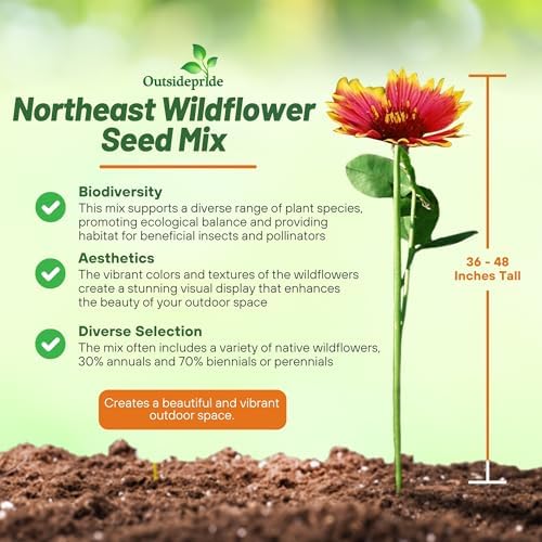 Outsidepride Northeast Wild Flower Seed Mix - 5 lbs Premium Blend of Vibrant Biennial & Annual Wildflower Seeds for Northeastern States, Ideal for Meadows, Borders & Gardens, & Attracting Pollinators - Image 4