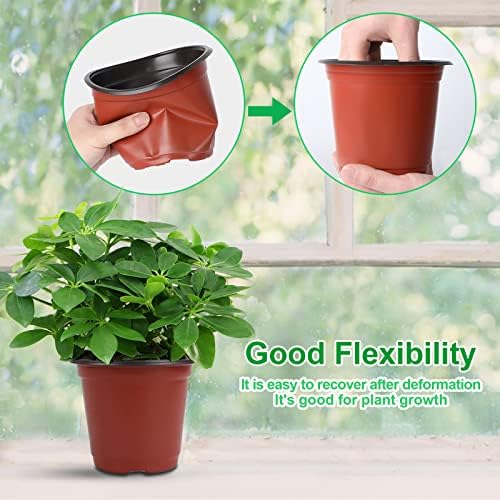 Augshy Nursery Pot, 75 Pcs 4", 5", 6" Plastic Plant Seed Starting Pots - Image 5