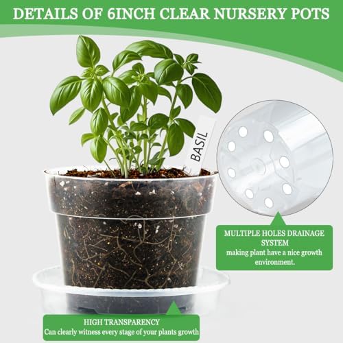 BTPLASTIK Clear Plastic Nursery Pots for Plants, 6 Inch Transparent Plant Pot with Drainage Holes, Flower Pots with Saucers, Seed Starter Pots with 15 Pcs Plant Labels, Gardening Gifts - Image 3
