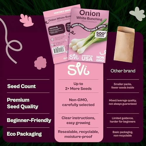 SVI 500 Bunching White Onion Seeds For Planting (Allium fistulosum) – Green Onion Seed Packets, Bunching Scallions Seed, Cebolla – Heirloom Vegetable Seeds for Planting Outdoors Home garden Containers - Image 6