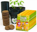 Classroom or Homeschool Science Fun Planting Party Kit – for 30 Students – Grow a Sensitive Plant that Reacts to Touch – Includes Activity Book and Seeds for Kids to Plant by TickleMePlantandZOMBIEPLANTProducts