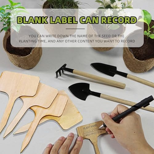 Bonsai Tree Growing Kit - All-in-One plant repotting mat Gardening Tools & User Manual, Unique Gift for Plant Lovers (Seeds Not Included)Gardening Gifts for Women Men Mom Father Birthday Thanksgiving - Image 5