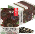 Seed Needs Chocolate Sunflower Seeds to Plant Cut Flowers - 20 Packs by SeedNeeds
