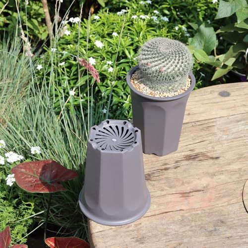 10 Pack 5.30 Inch Plastic Deep Nursery and Seedling Pots, Round Transplant Seed Starter Planter, Gray Color - Image 4
