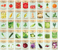 Black Duck Brand Set of 43 Vegetable and Herb Seeds - Semi Assorted - 100 Percent Non-GMO & Heirloom - Great for Starting a Garden! High Germination Rate! (43) by BlackDuckBrand