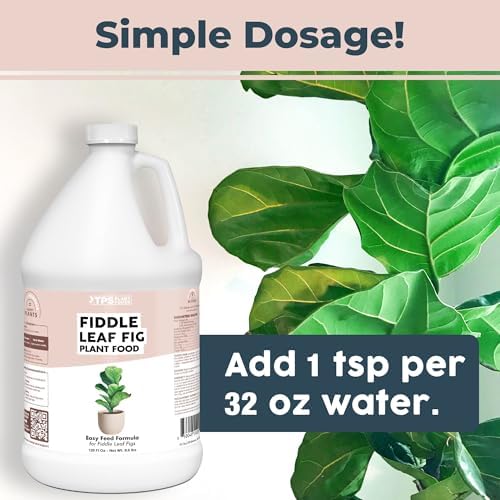 Fiddle Leaf Fig Fertilizer, Liquid Plant Food for Bigger Leaves, 1 Gallon - Image 3