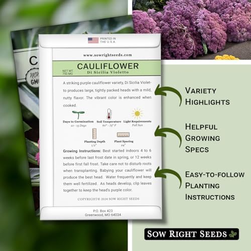 Sow Right Seeds - Di Sicilia Violetto Cauliflower Seed for Planting Garden - Image 2