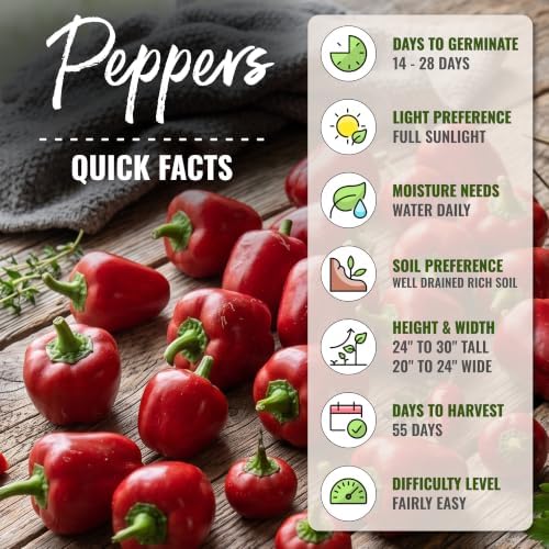 Seed Needs Mini Red Bell Pepper Seeds to Plant Vegetables - 10 Packs - Image 4