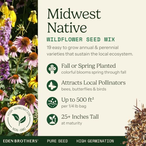Eden Brothers Native Midwest Wildflower Seed Mix, 1/4lb, 19 Prairie Wild Flower Seed Varieties,100% Pure Seed No Fillers,Bulk Wildflower Seeds for Planting Outdoors,Attracts Pollinators & Hummingbirds - Image 2