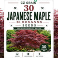Garden Seeds for Planting, 30 Japanes Maple Bloodgood by CZGrain
