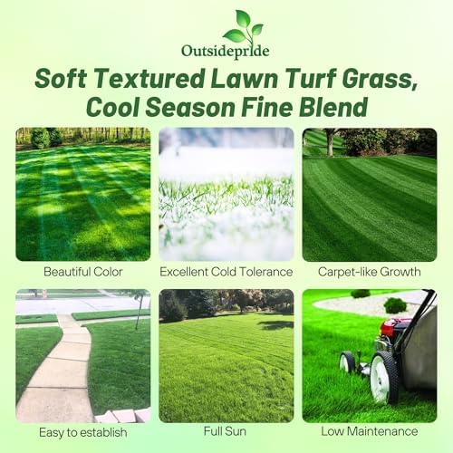 Outsidepride Midnight Kentucky Bluegrass Seed - 50 Lbs. Cold & Drought Tolerant, Sun-Loving Lawn Grass Seed, w/High Traffic Tolerance & Deep Root System, OptiGrowth Coated for Better Establishment - Image 2
