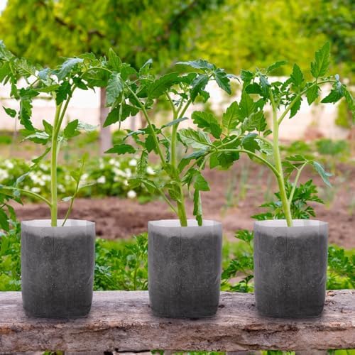 GREANER 12.6"x13.4" Seedling Bags, 25Pcs Nursery Growing Bags for Growing Vegetables, Fabric Pots for Seed Planting Succulents Vegetable Flower Potato Tomato - Image 6
