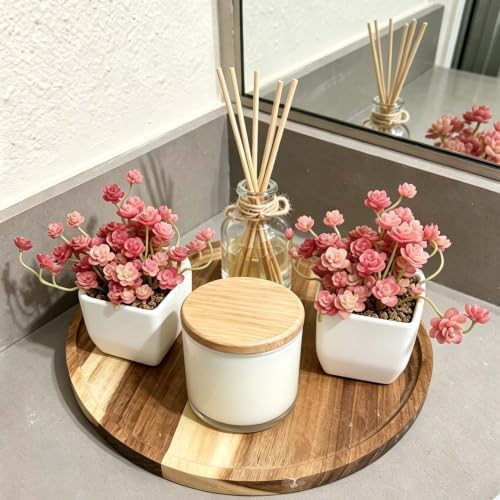 Artificial Red Trailing Rosette Succulent Potted Plant, Small Plants 2 Pack - Image 4