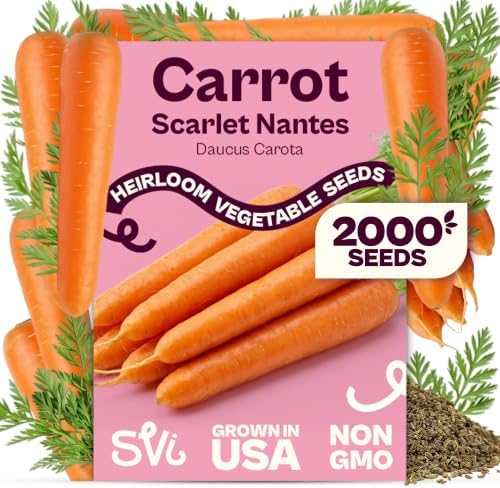SVI 2000 Scarlet Nantes Carrot Heirloom Vegetable Seeds, Daucus carota by SVI